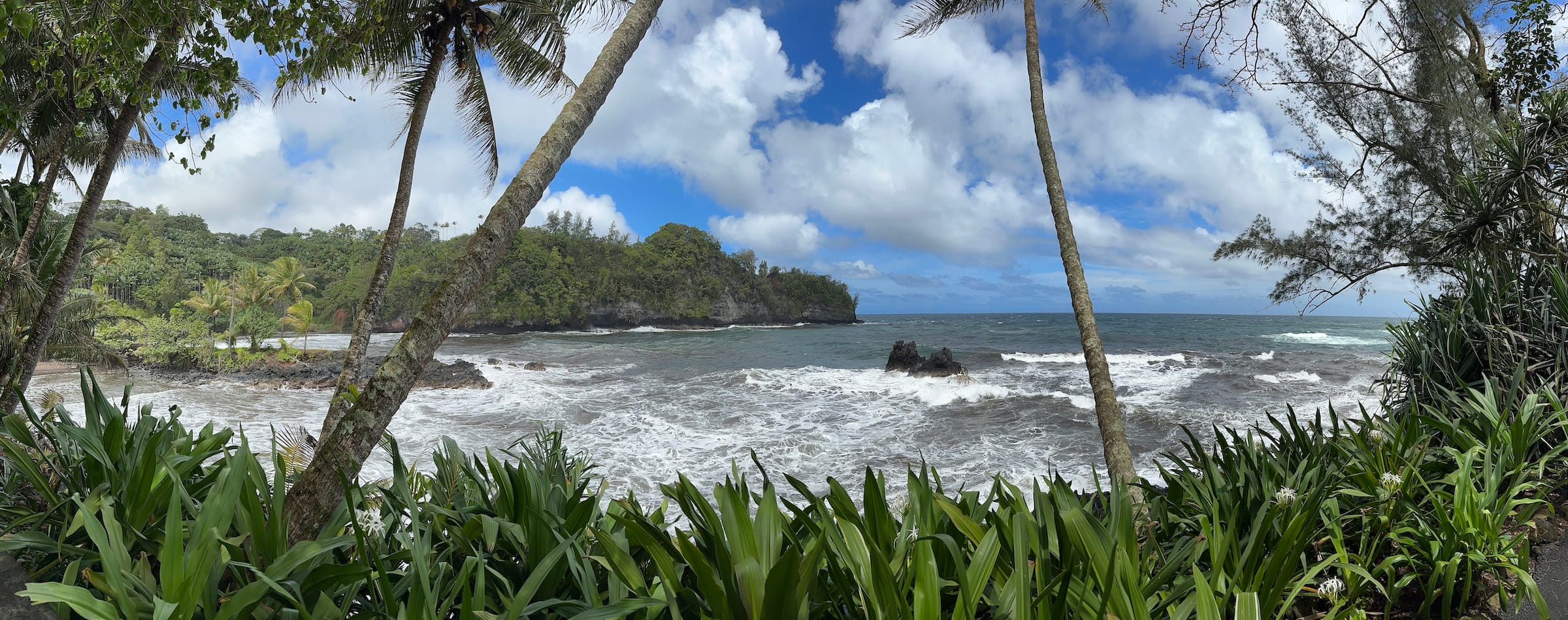 A tropical view of the ocean with palm trees in the foreground and a bright blue sky overhead