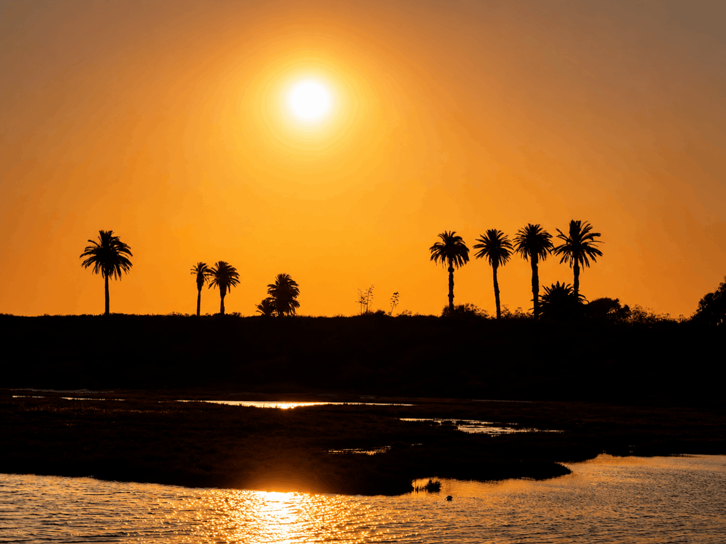 Bolsa Chica Ecological Reserve at sunset